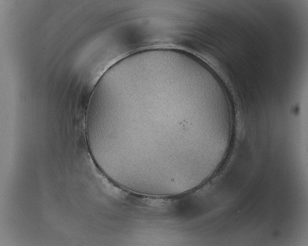 X0000112091289200908111343