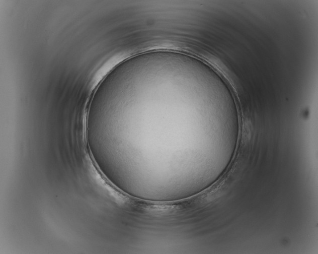 X0000112091290200908111343