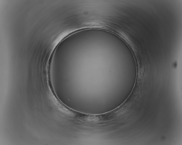 X0000112091291200908111343