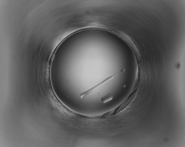 X0000112091292200908111343