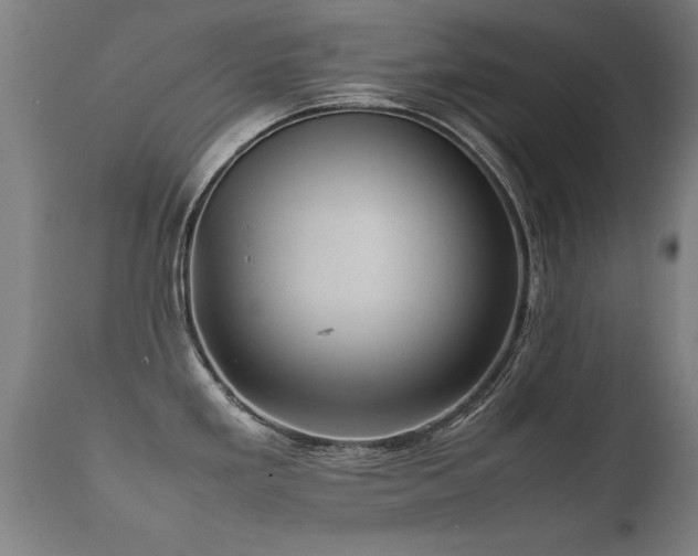 X0000112091293200908111343