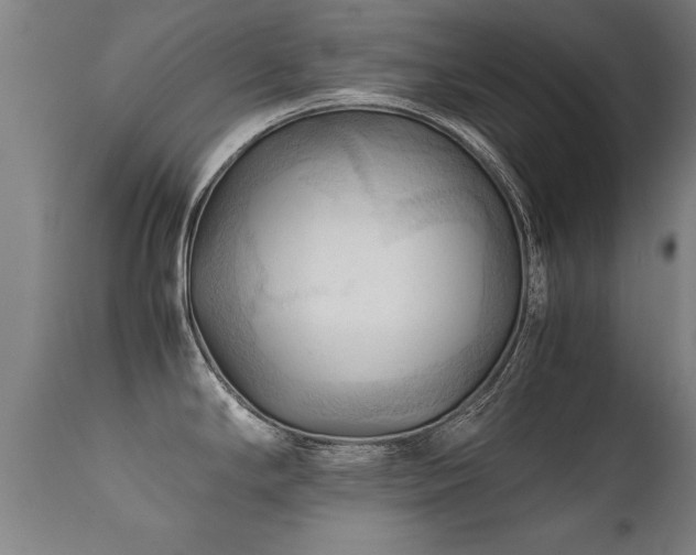 X0000112091294200908111343