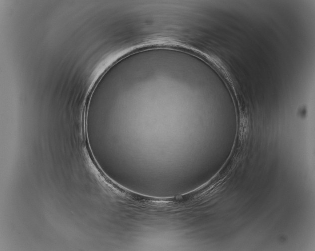 X0000112091295200908111343