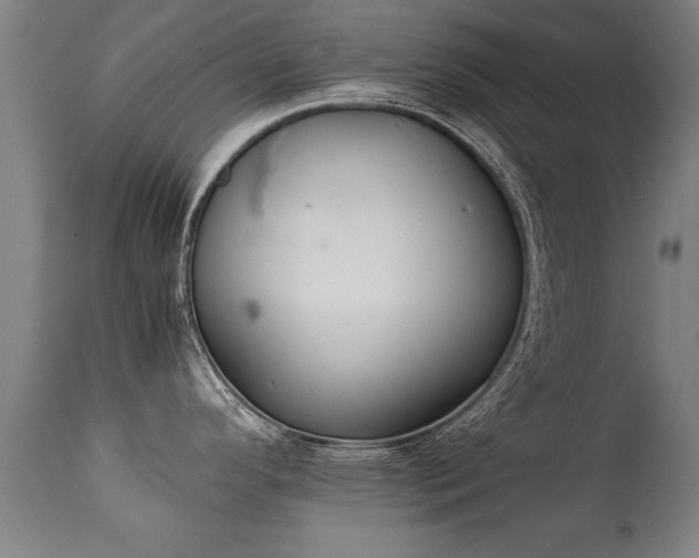 X0000112091296200908111343