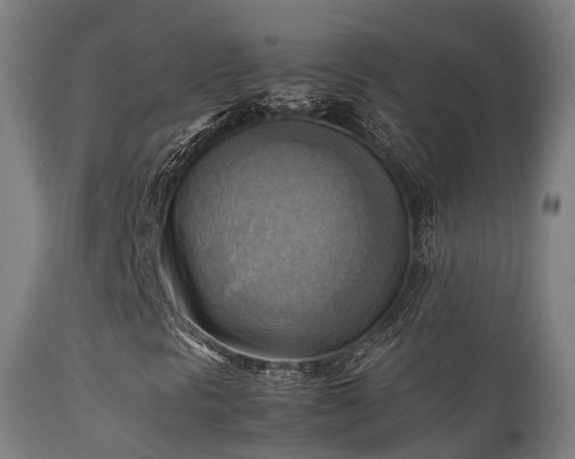 X0000112091297200908111342