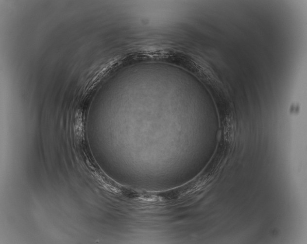 X0000112091298200908111342