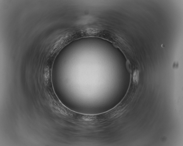 X0000112091299200908111342