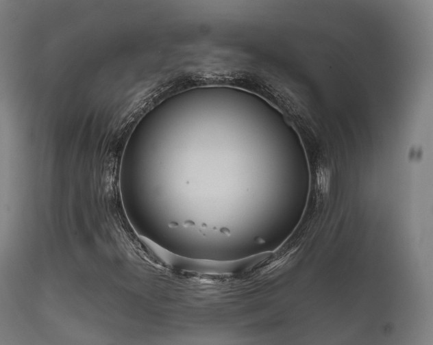 X0000112091300200908111342