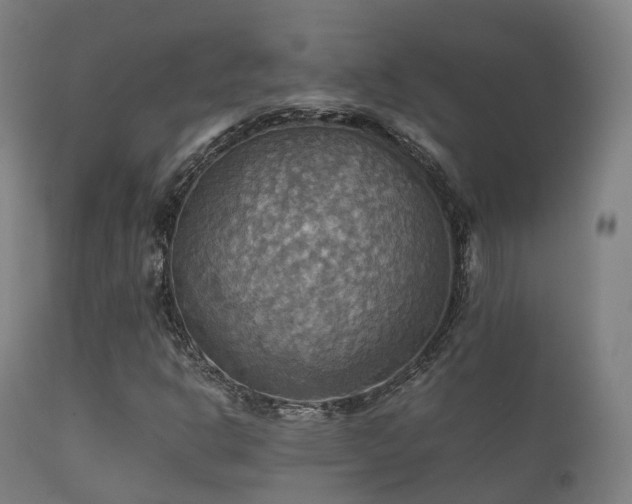 X0000112091302200908111342