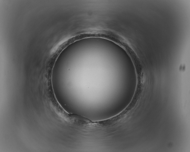 X0000112091304200908111342