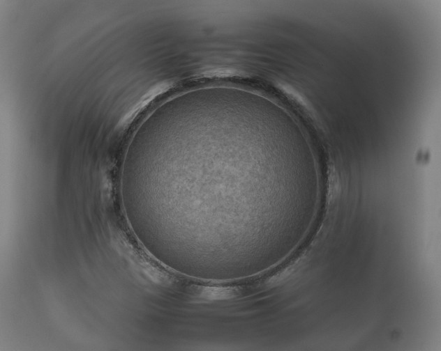 X0000112091305200908111342