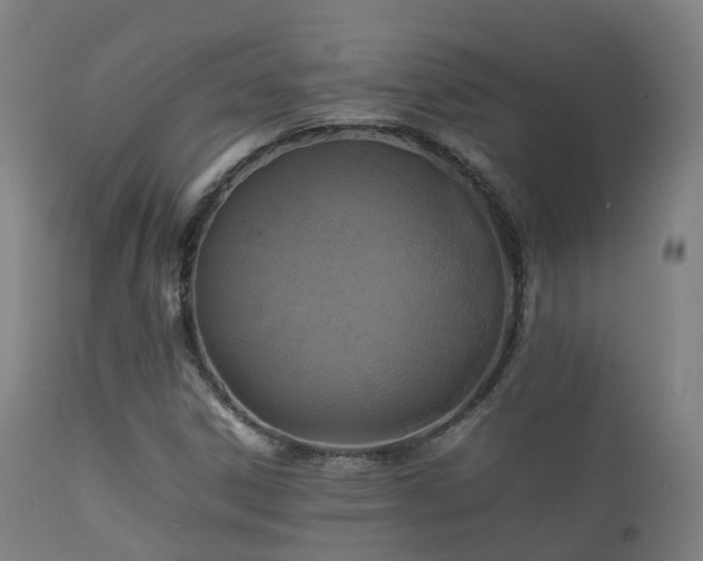 X0000112091306200908111342