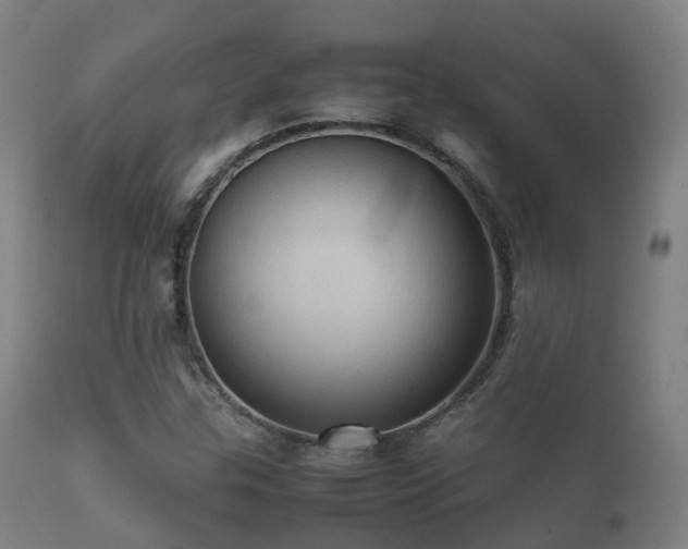 X0000112091307200908111342