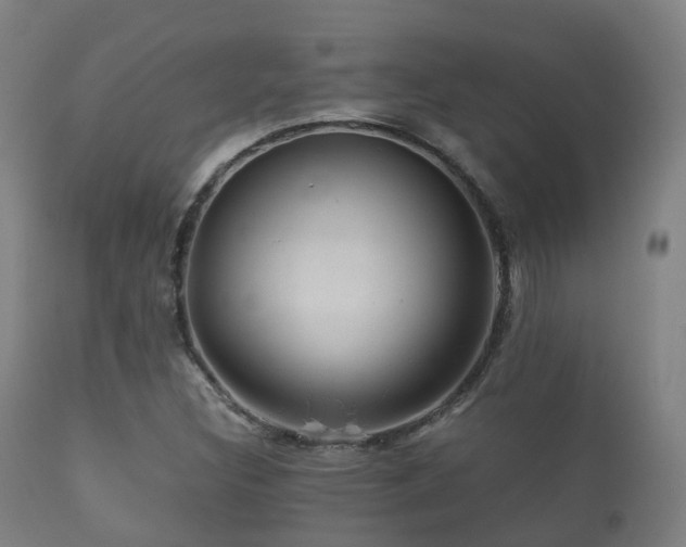 X0000112091308200908111342