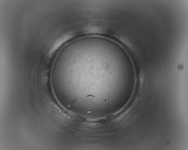 X0000112091309200908111342