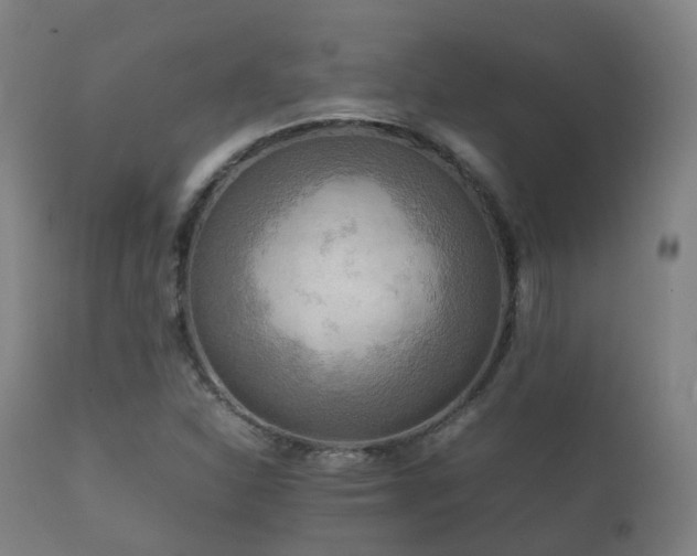 X0000112091310200908111342