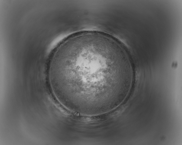 X0000112091311200908111342