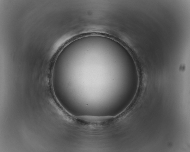 X0000112091312200908111342