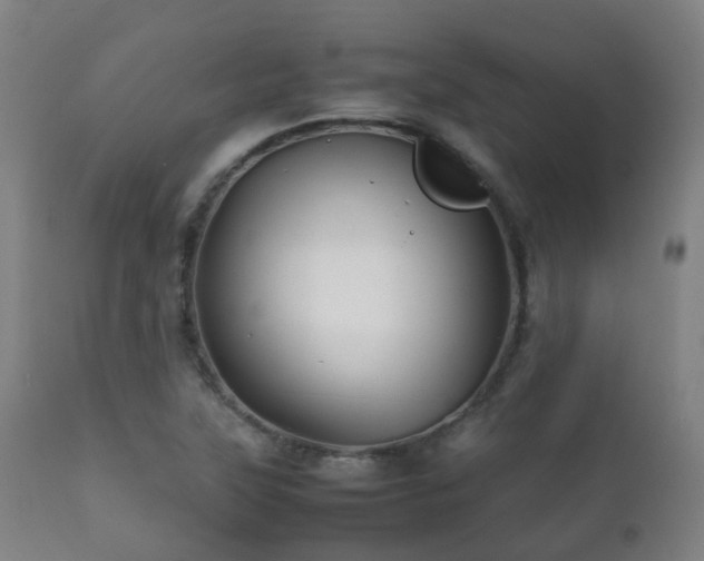 X0000112091315200908111343