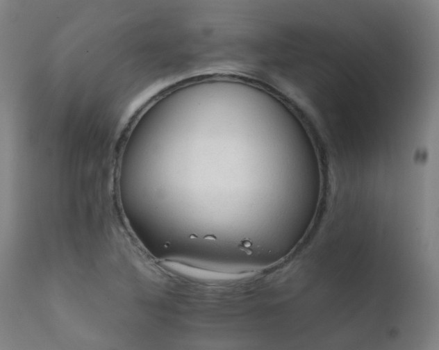 X0000112091316200908111343