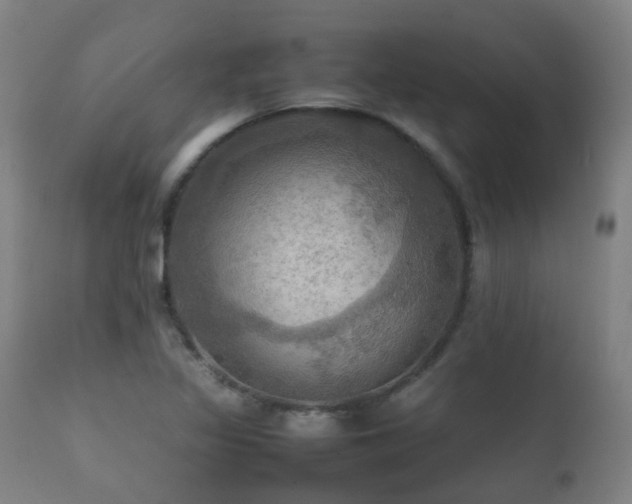 X0000112091317200908111343