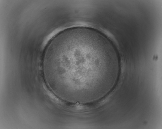 X0000112091318200908111343