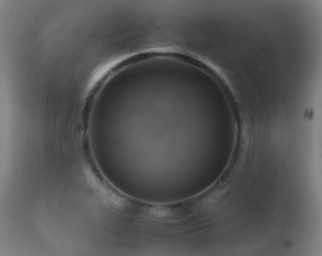 X0000112091319200908111343