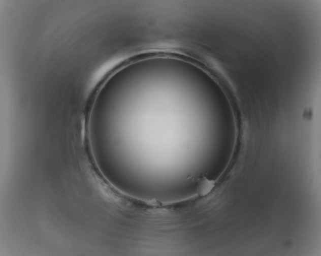 X0000112091320200908111343