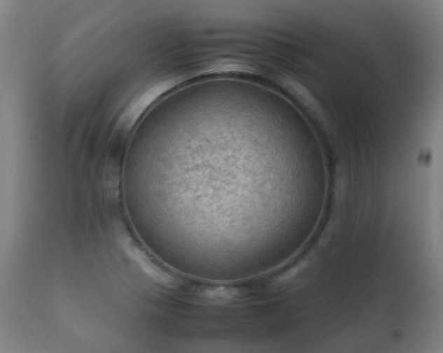 X0000112091321200908111343