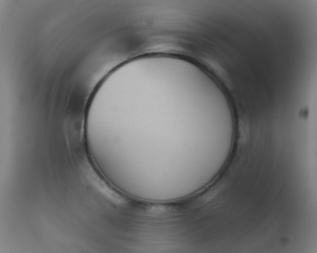 X0000112091322200908111343