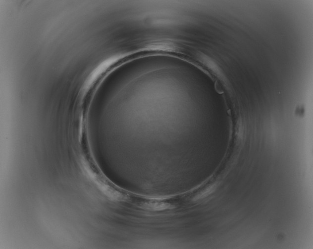 X0000112091323200908111343