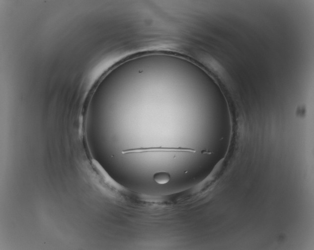 X0000112091324200908111343