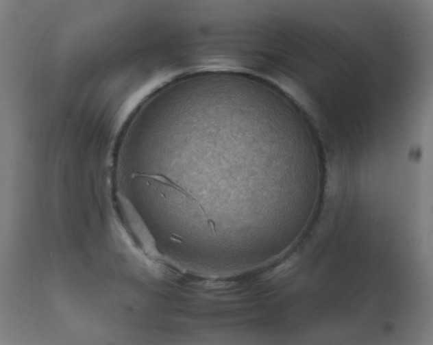 X0000112091325200908111343