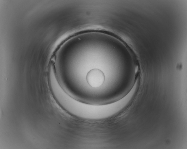 X0000112091326200908111343