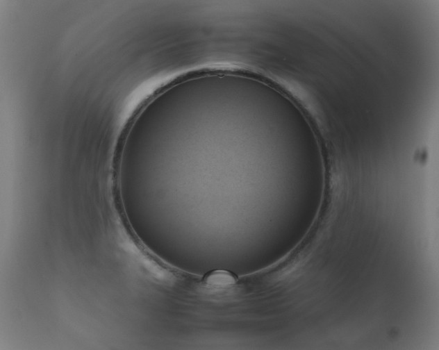 X0000112091327200908111343