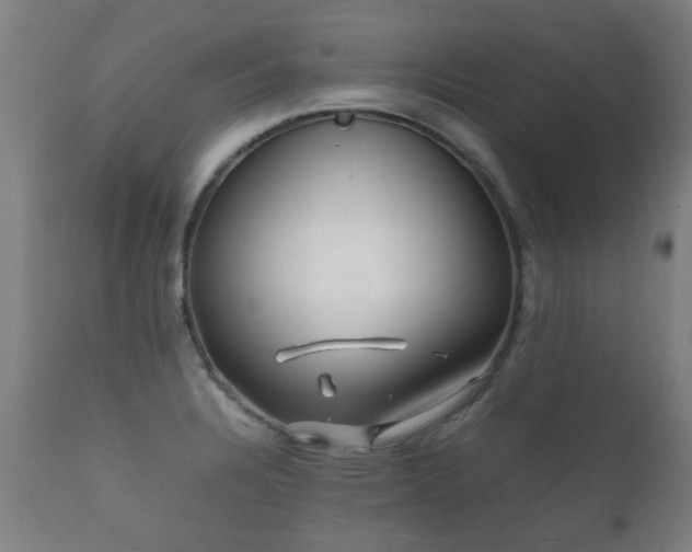 X0000112091328200908111343