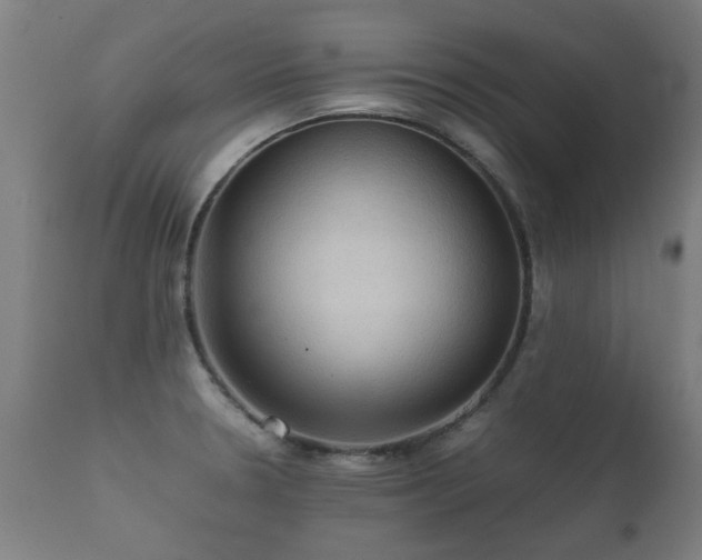 X0000112091330200908111343