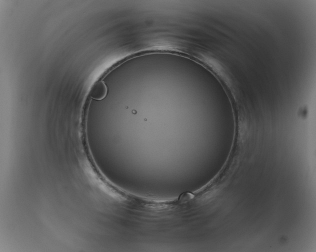 X0000112091331200908111343