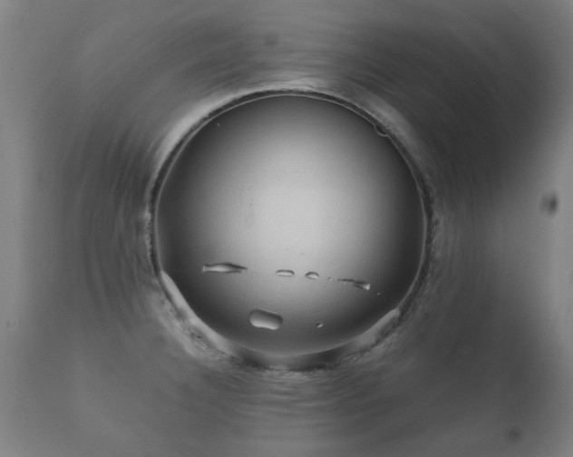 X0000112091332200908111343