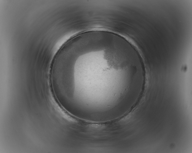 X0000112091333200908111343