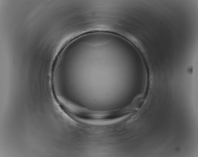 X0000112091334200908111343