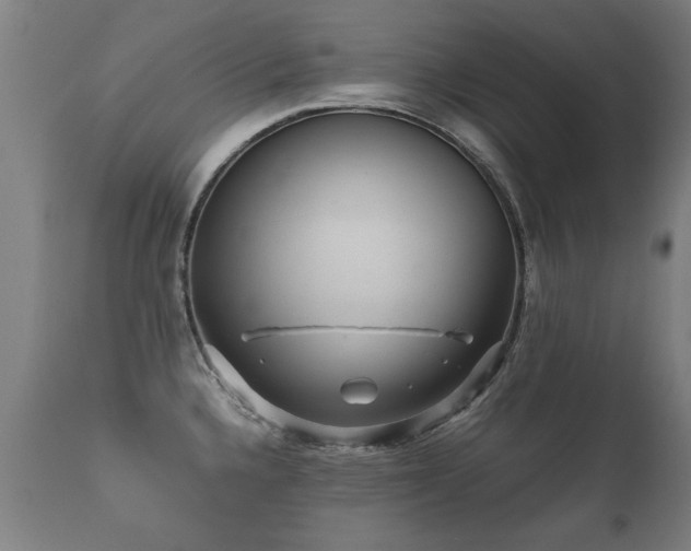 X0000112091336200908111343