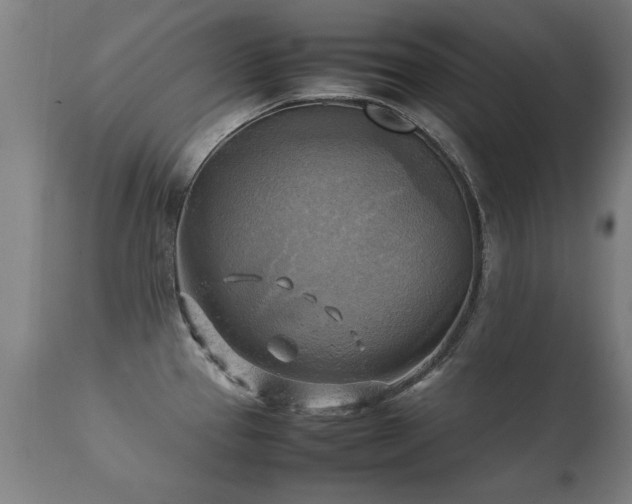 X0000112091337200908111343