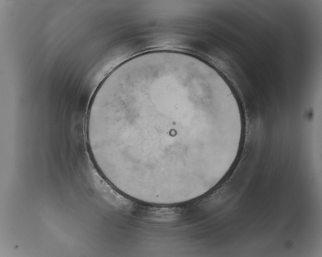 X0000112091338200908111343