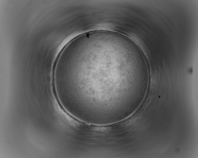 X0000112091339200908111343