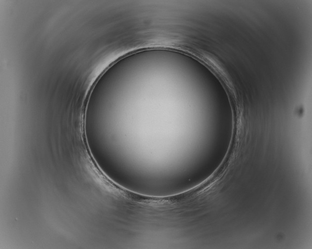 X0000112091340200908111343