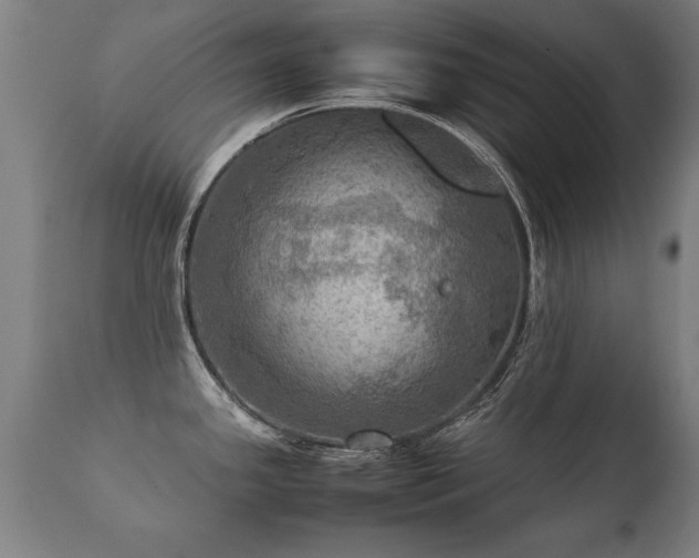 X0000112091341200908111343