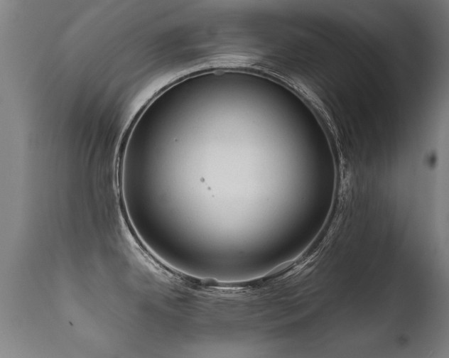 X0000112091342200908111343