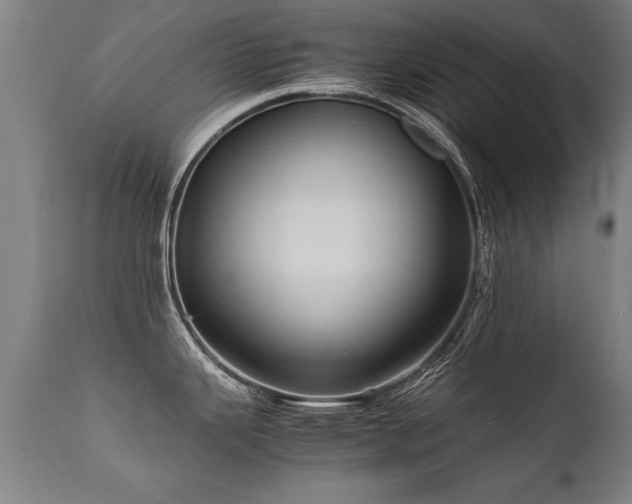 X0000112091343200908111343