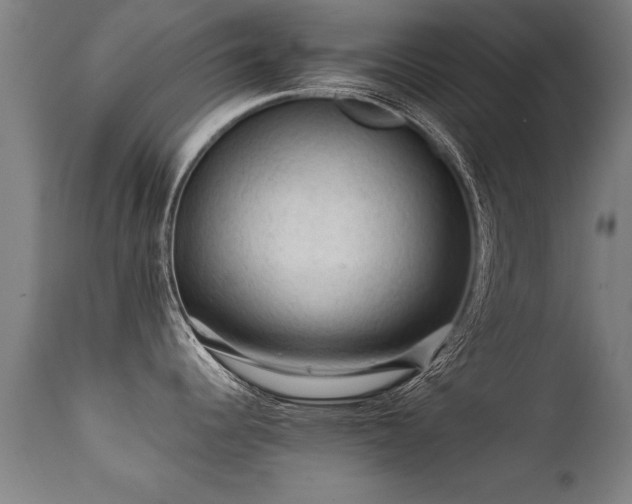 X0000112091344200908111343